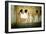 Deir El-Medineh, Luxor, Thebes, Egypt-null-Framed Photographic Print