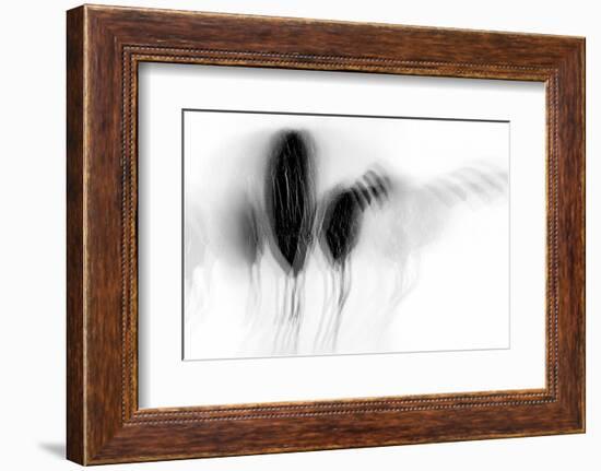 Dejection-Ursula Abresch-Framed Photographic Print