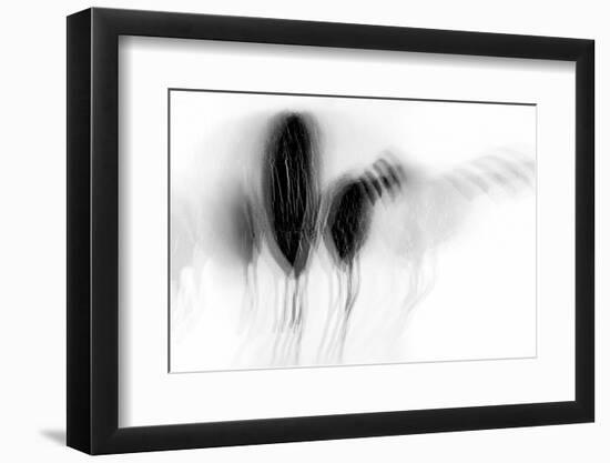 Dejection-Ursula Abresch-Framed Photographic Print