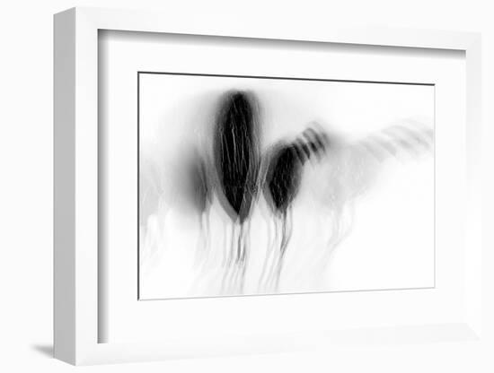 Dejection-Ursula Abresch-Framed Photographic Print