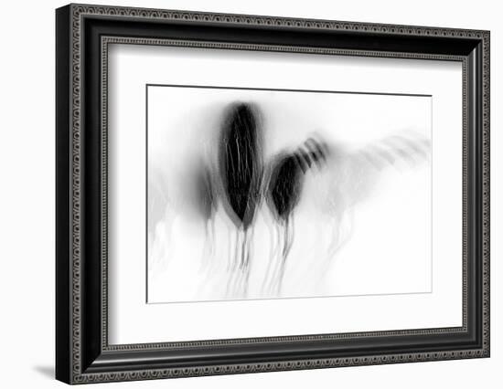 Dejection-Ursula Abresch-Framed Photographic Print