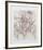 Dejeneur-Guillaume Azoulay-Framed Limited Edition