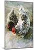 Dejeuner aux Herbs, 1986-Sandra Lawrence-Mounted Giclee Print