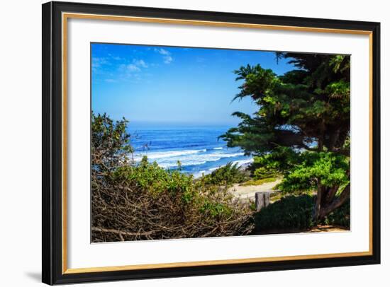Del Mar Beach II-Alan Hausenflock-Framed Photo