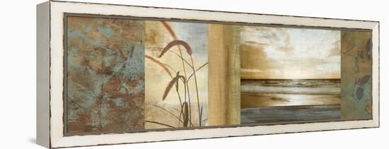 Del Mar I-John Seba-Framed Stretched Canvas