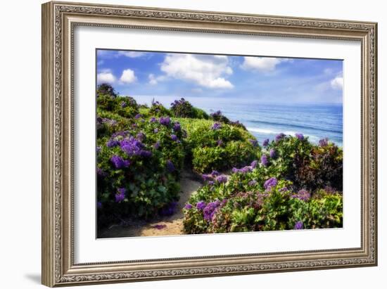 Del Mar II-Alan Hausenflock-Framed Photographic Print