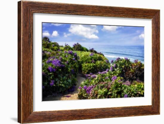 Del Mar II-Alan Hausenflock-Framed Photographic Print