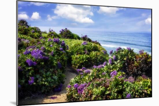 Del Mar II-Alan Hausenflock-Mounted Photographic Print