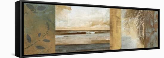 Del Mar II-John Seba-Framed Stretched Canvas