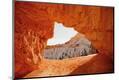 Premium Photographic Print