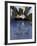 Delano Hotel, South Beach, Miami, Florida, USA-Robin Hill-Framed Photographic Print