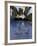 Delano Hotel, South Beach, Miami, Florida, USA-Robin Hill-Framed Photographic Print