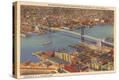 Stretched Canvas Print