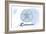 Delaware - Sand Dollar - Blue - Coastal Icon-Lantern Press-Framed Art Print