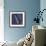 Delaware-Art Licensing Studio-Framed Giclee Print displayed on a wall