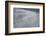 Delecate Impressions of Nature-Adrian Campfield-Framed Photographic Print