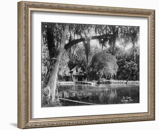 Deleon Springs, Florida - Scenic View-Lantern Press-Framed Art Print