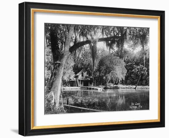 Deleon Springs, Florida - Scenic View-Lantern Press-Framed Art Print