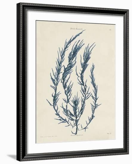 Delesseria Hypoglossum-Henry Bradbury-Framed Giclee Print