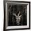 Delia Bound-Trevor Alyn-Framed Photographic Print