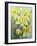 Delias Mysis (Union Jack) Butterfly on Daffodils-Karen Armitage-Framed Giclee Print