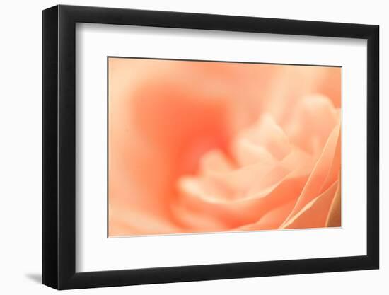 Delicate Abstract Orange Rosy Background-malija-Framed Photographic Print