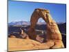 Delicate Arch, Arches National Park, Moab, Utah, USA-Lee Frost-Mounted Photographic Print