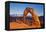 Delicate Arch, Arches National Park, Near Moab, Utah, United States of America, North America-Neale Clark-Framed Premier Image Canvas
