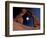 Delicate Arch, Arches National Park, Utah, USA-Art Wolfe-Framed Photographic Print