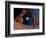 Delicate Arch, Arches National Park, Utah, USA-Art Wolfe-Framed Photographic Print