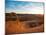 Delicate Arch in Arches National Park at Sunset.-Ben Herndon-Mounted Photographic Print