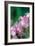 Delicate Begonia II-Erin Berzel-Framed Photographic Print