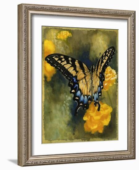 Delicate Belle-Barbara Keith-Framed Giclee Print