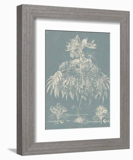 Delicate Besler Botanical I-Vision Studio-Framed Art Print