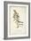 Delicate Bird and Botanical II-John James Audubon-Framed Art Print