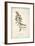 Delicate Bird and Botanical II-John James Audubon-Framed Art Print