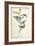 Delicate Bird and Botanical IV-John James Audubon-Framed Art Print