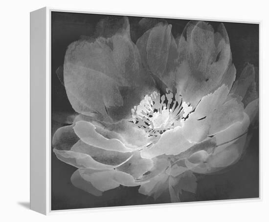 Delicate Bloom - Dusk-Tania Bello-Framed Stretched Canvas