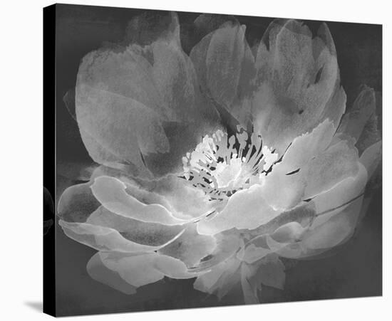 Delicate Bloom - Dusk-Tania Bello-Framed Stretched Canvas