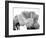 Delicate Blossom I-Nicole Katano-Framed Photo