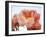 Delicate Blossom I-Nicole Katano-Framed Photo