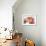 Delicate Blossom I-Nicole Katano-Framed Photo displayed on a wall
