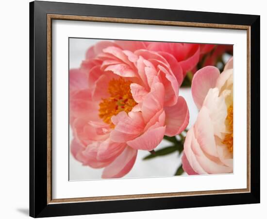 Delicate Blossom II-Nicole Katano-Framed Photo