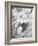 Delicate Blossom III-Nicole Katano-Framed Photo