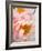 Delicate Blossom III-Nicole Katano-Framed Photo