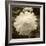 Delicate Blossom-Herb Dickinson-Framed Photographic Print