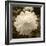 Delicate Blossom-Herb Dickinson-Framed Photographic Print