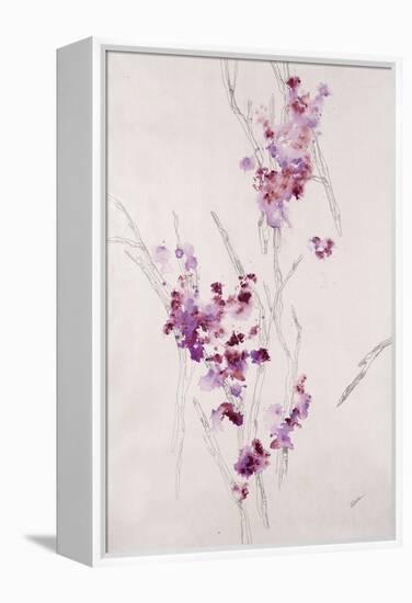 Delicate Blossoms I-Rikki Drotar-Framed Premier Image Canvas