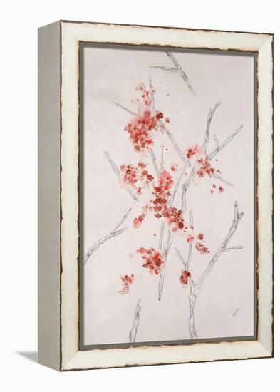 Delicate Blossoms II-Rikki Drotar-Framed Premier Image Canvas