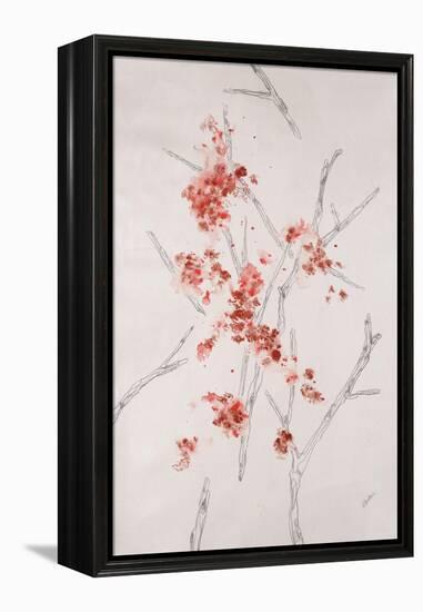 Delicate Blossoms II-Rikki Drotar-Framed Premier Image Canvas